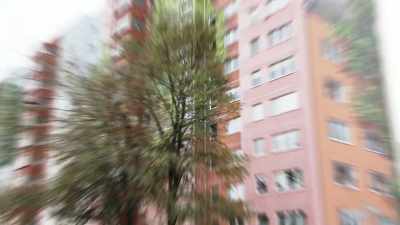 Take this building
on a street called am tierpark. - Searching for Secrets