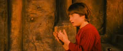 Take care of Ron. - Harry Potter and the Philosopher's Stone