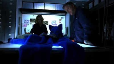 Take this chair right here. - CSI: Crime Scene Investigation