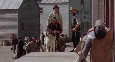 Take him down there.
Let's see what happens. - White Fang