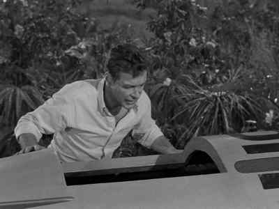 Take it easy, little buddy. - Gilligan's Island