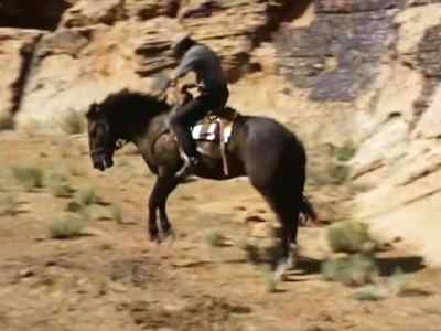 Take it easy! - Six Black Horses