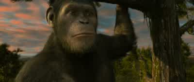 Take my hand! - Rise of the Planet of the Apes