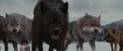 Таkе hеr аwаy! - The Twilight Saga: Breaking Dawn   Part 2