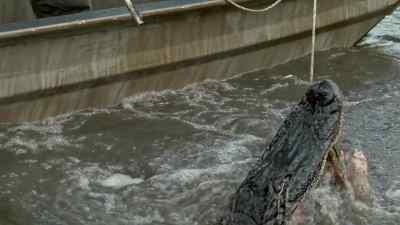 Take him! - Swamp People