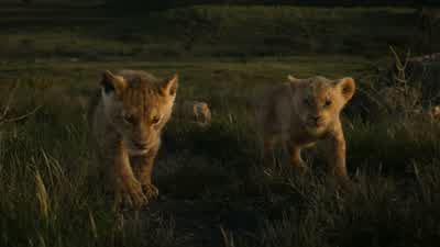 Zazu? Take Nala back to Pride Rock. Yes, sire. Don't be too hard on him, sire. I remember a cub, a c - The Lion King