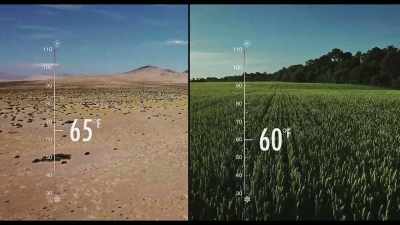 Take one square meter of soil
and make it bare, - Kiss the Ground