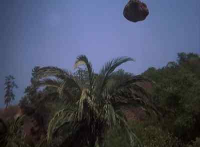 Take that plane apart
and get it ready for pick-up. - The Six Million Dollar Man