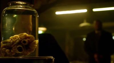 Take special care
of this valuable item. - The Strain