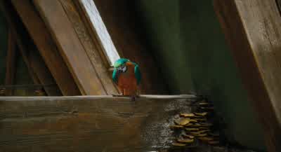 Take that. - Dolittle