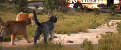 Take the shot, - Gracie & Pedro: Pets to the Rescue