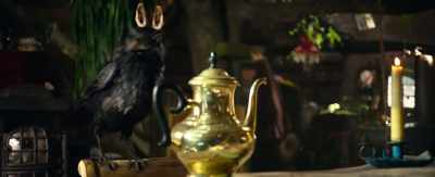 Take them
away, get rid of them now. - The Little Witch