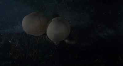 Take them to the Santa Ranita. - The Lost Continent