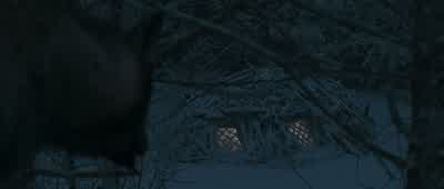 Take them - The Chronicles of Narnia: The Lion, the Witch and the Wardrobe