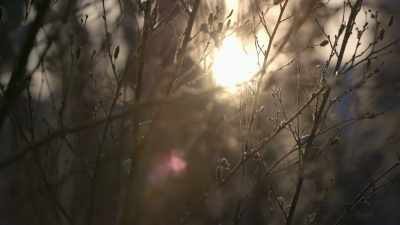Take what I learn
from this lake, - Life Below Zero: Next Generation