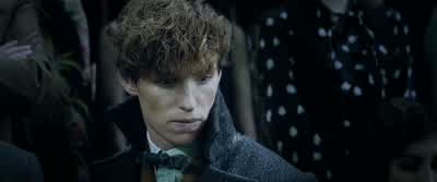Take this young warrior back to her family. - Fantastic Beasts: The Crimes of Grindelwald