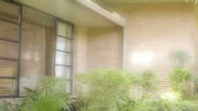 Taking down the shutters
and just sprucing
things up a bit. - Why the Heck Did I Buy This House?