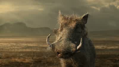 Talk about your fixer upperI like what you've done with italthough a bit heavy on the carcass - The Lion King