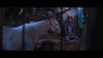 Talvez, - Sparkle: A Unicorn Tale