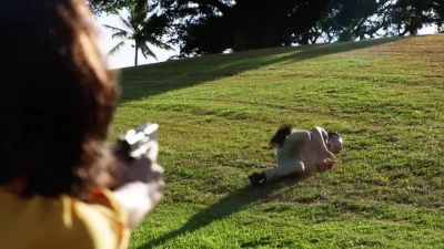 TANI:
Drop your weapon! - Hawaii Five-O