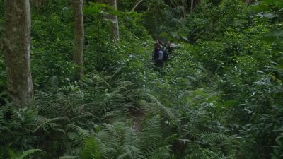 TANI: So these guys have, what,
like, two hours on us? - Hawaii Five-0