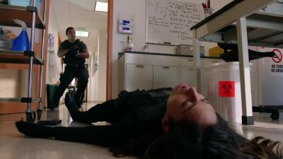 Tani. - Hawaii Five-0