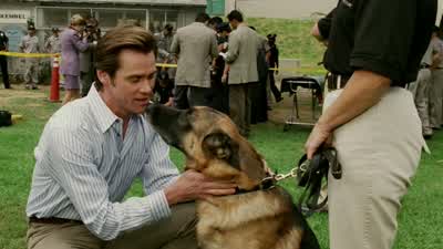 Tantos caballos... - Bruce Almighty