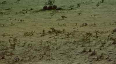 Tanzania and kenya have preserved - Africa: The Serengeti