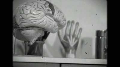 Tapi mungkin yang paling mengejutkan - Mind Field