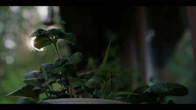[tapping on soil] - Earth Abides