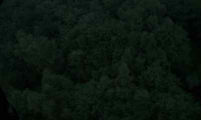 Target in woods, - The Beast Must Die