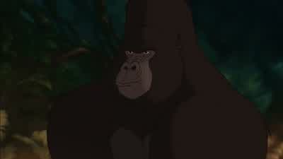 Tarzan buddy Buddy come on Tarzan don't die on meDon't die on me You weren't supposed to do itGet away from there Don't you know a piranha can strip your flesh in secondsWhat He's not a piranha He'sCoughing He's aliveHe's alive He's alive He's aliveHe's - Tarzan
