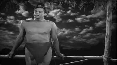 Tarzan know Tarzan catch giant bird Train bird Boy fly - Tarzan's New York Adventure