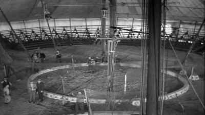 Tarzan! Tarzan! Here I am! - Tarzan's New York Adventure