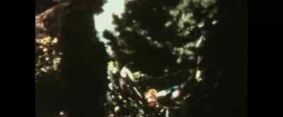 Tate and Sebring
were linked by ropes - Once Upon a Time in Hollyweird