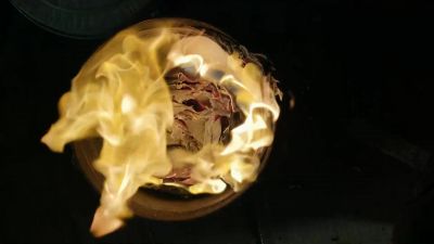Tater Bug. - The Walking Dead