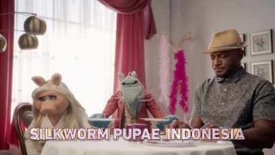 -TAYE: All right.
-(GRUNTS) - Muppets Now
