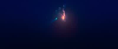 Taylor, can you hear us? - 47 Meters Down