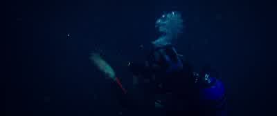 Taylor, hello! - 47 Meters Down