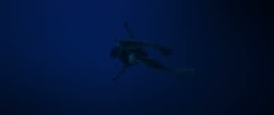 Taylor, it's Kate. - 47 Meters Down