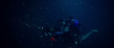 Taylor? - 47 Meters Down