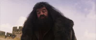 Teacher or not, I know a spell whenI see one. - Harry Potter and the Philosopher's Stone