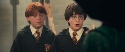 Teachers will follow me to the dungeons. - Harry Potter and the Philosopher's Stone