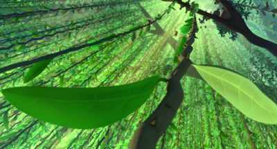 Team Poppy
continue to struggle. - Maya the Bee: The Honey Games