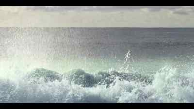 Teamwork is the key to survival. - Our Oceans
