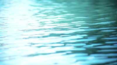 TED NELSON: lt was an experience
of water and interconnection. - Lo and Behold: Reveries of the Connected World