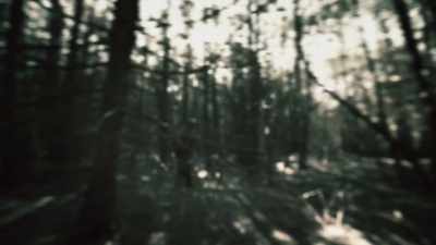 - Ted had such an ideal
situation with my place, - Unabomber: In His Own Words