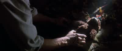 Teddy. My Teddy. - Hook