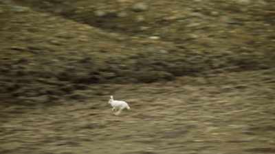 Teddy: Oh, well,
I'm just gonna try to help - When Nature Calls with Helen Mirren