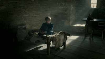 Teddy! Teddy! Come here. It's all right. - The White Princess